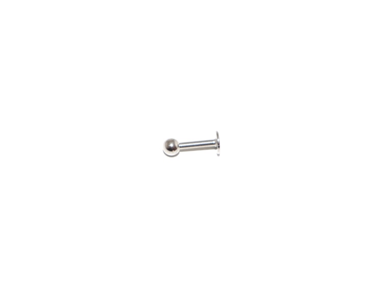 Piercing Labret 